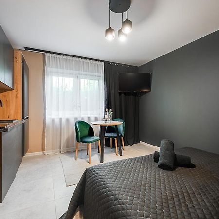 Loft House Apartment Studio Z Ogrodkiem 1 Рибник Екстер'єр фото