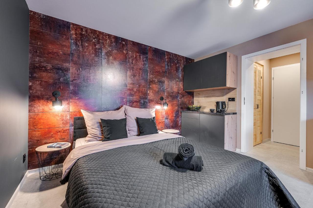 Loft House Apartment Studio Z Ogrodkiem 1 Рибник Екстер'єр фото