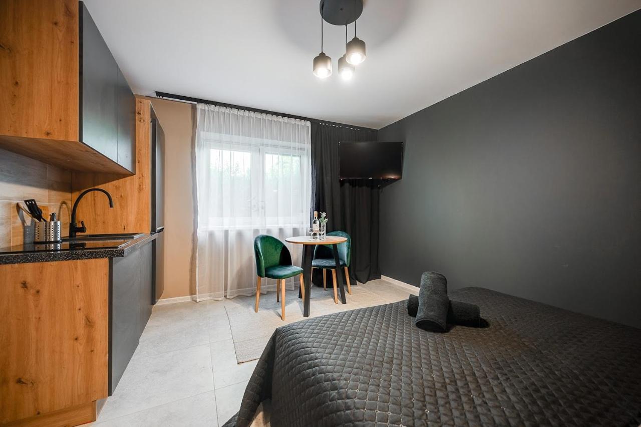 Loft House Apartment Studio Z Ogrodkiem 1 Рибник Екстер'єр фото