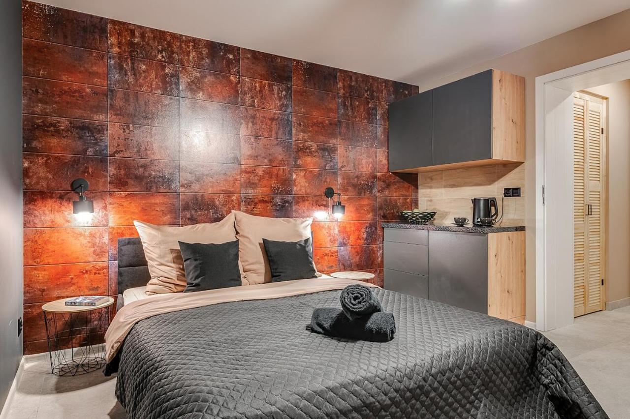 Loft House Apartment Studio Z Ogrodkiem 1 Рибник Екстер'єр фото